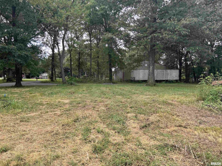 1207 Gentile Street, Colp, Illinois 62921, 0 , 0 ,0,Land,For Sale,Gentile,0,RMAEB454823