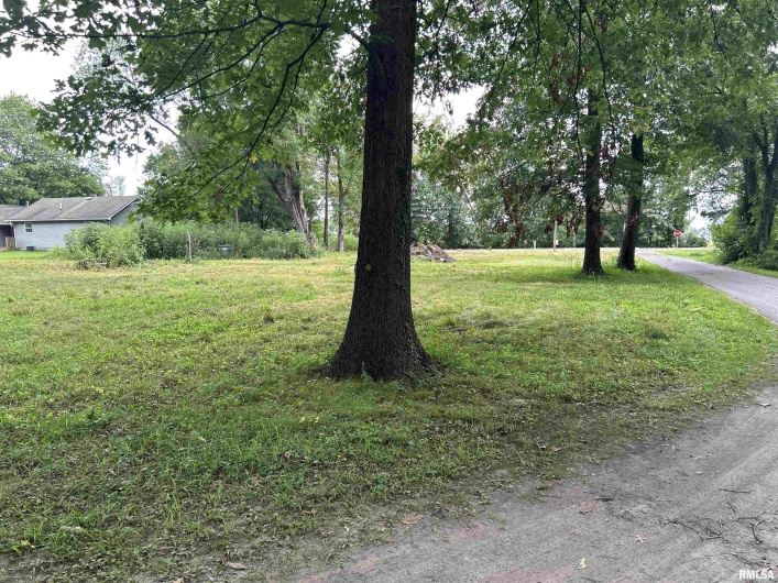 1207 Gentile Street, Colp, Illinois 62921, 0 , 0 ,0,Land,For Sale,Gentile,0,RMAEB454823