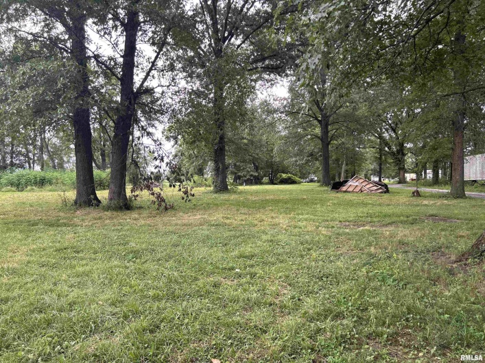 1207 Gentile Street, Colp, Illinois 62921, 0 , 0 ,0,Land,For Sale,Gentile,0,RMAEB454823