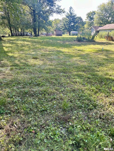 1207 Gentile Street, Colp, Illinois 62921, 0 , 0 ,0,Land,For Sale,Gentile,0,RMAEB454823