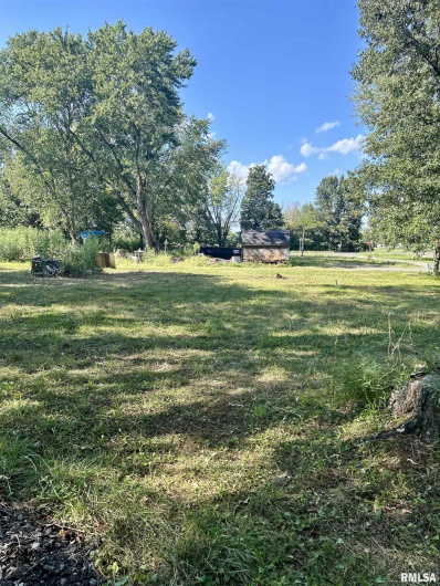 1207 Gentile Street, Colp, Illinois 62921, 0 , 0 ,0,Land,For Sale,Gentile,0,RMAEB454823