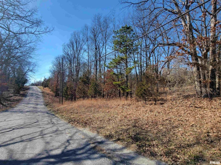 0000 INDIAN CREEK Road, Goreville, Illinois 62896-0000, 0 , 0 ,0,Land,For Sale,INDIAN CREEK,0,RMAEB454852