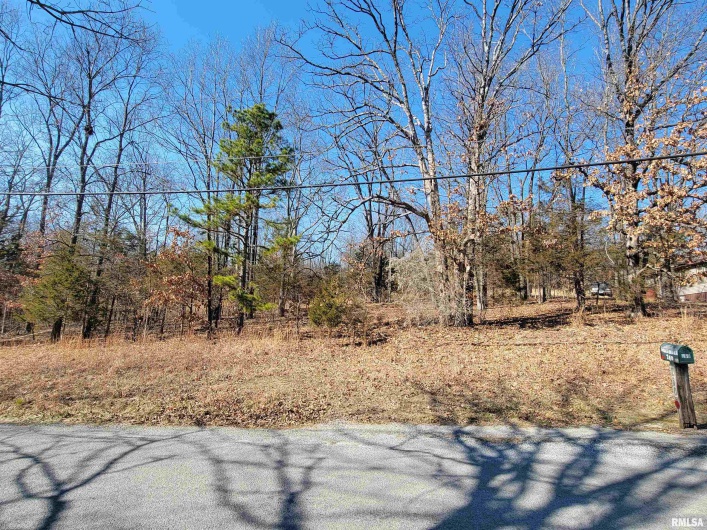 0000 INDIAN CREEK Road, Goreville, Illinois 62896-0000, 0 , 0 ,0,Land,For Sale,INDIAN CREEK,0,RMAEB454852