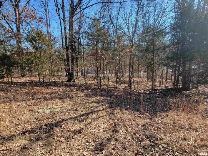 0000 INDIAN CREEK Road, Goreville, Illinois 62896-0000, 0 , 0 ,0,Land,For Sale,INDIAN CREEK,0,RMAEB454852