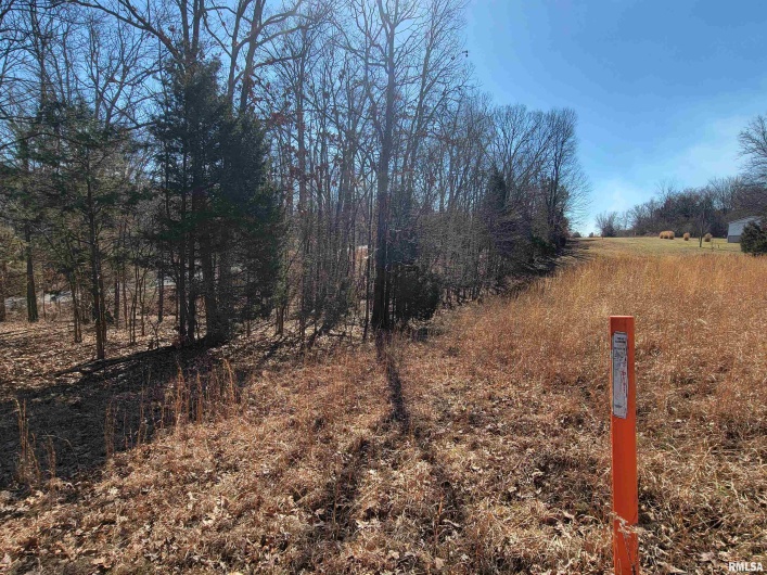 0000 INDIAN CREEK Road, Goreville, Illinois 62896-0000, 0 , 0 ,0,Land,For Sale,INDIAN CREEK,0,RMAEB454852
