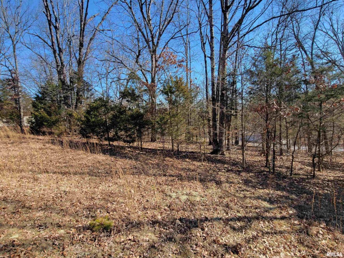 0000 INDIAN CREEK Road, Goreville, Illinois 62896-0000, 0 , 0 ,0,Land,For Sale,INDIAN CREEK,0,RMAEB454852