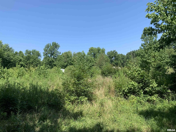 5281-5287 COUNTRY CLUB Road, Murphysboro, Illinois 62966, 0 , 0 ,0,Residential Income,For Sale,COUNTRY CLUB,0,RMAEB454877