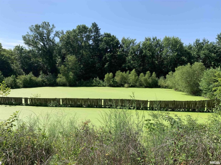 5281-5287 COUNTRY CLUB Road, Murphysboro, Illinois 62966, 0 , 0 ,0,Residential Income,For Sale,COUNTRY CLUB,0,RMAEB454877