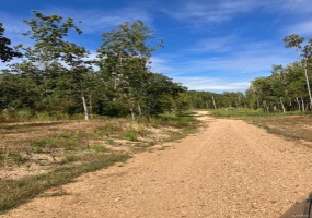 91 Madison CR 410, Fredericktown, Missouri 63645, ,Farm,For Sale,Madison CR 410,MAR24055638