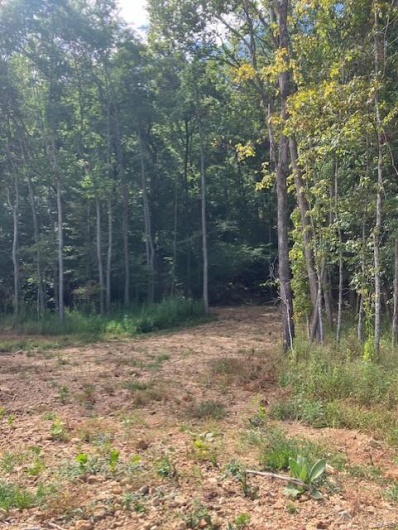 91 Madison CR 410, Fredericktown, Missouri 63645, ,Farm,For Sale,Madison CR 410,MAR24055638