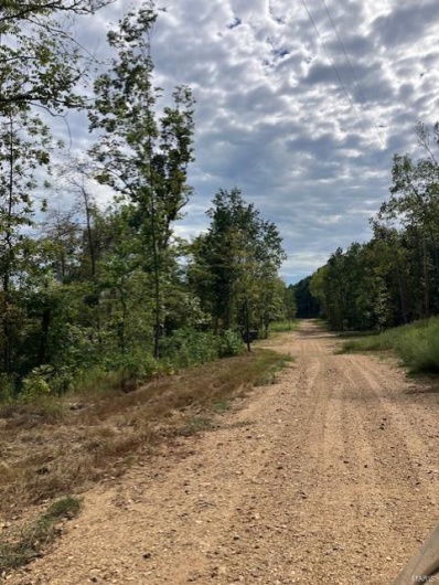 92 Madison CR 410, Fredericktown, Missouri 63645, ,Farm,For Sale,Madison CR 410,MAR24055639