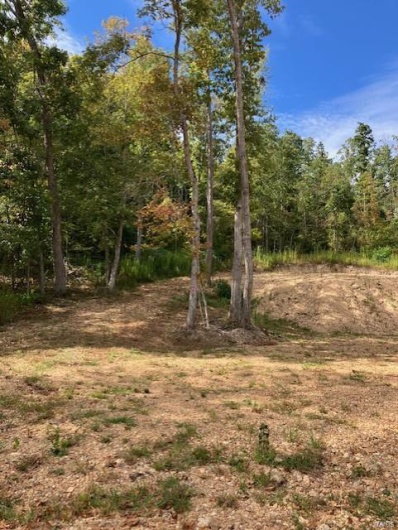 92 Madison CR 410, Fredericktown, Missouri 63645, ,Farm,For Sale,Madison CR 410,MAR24055639