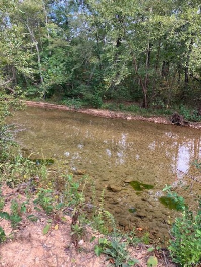 94 Madison CR 410, Fredericktown, Missouri 63645, ,Farm,For Sale,Madison CR 410,MAR24055641