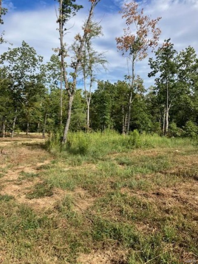 94 Madison CR 410, Fredericktown, Missouri 63645, ,Farm,For Sale,Madison CR 410,MAR24055641