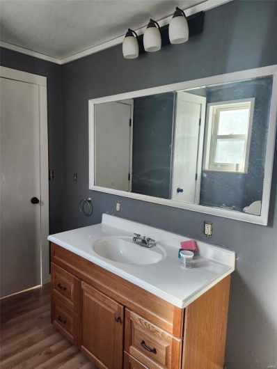 Bathroom featuring vanity and wood finished floors