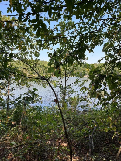 0 Highway E, Lowndes, Missouri 63951, ,Land,For Sale,Highway E,MAR24056194