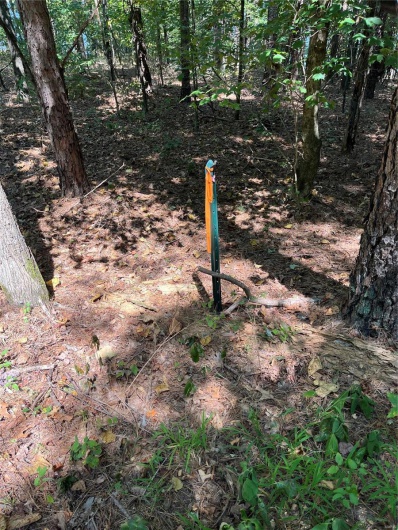 0 Highway E, Lowndes, Missouri 63951, ,Land,For Sale,Highway E,MAR24056194