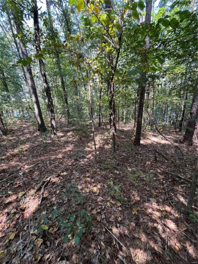 0 Highway E, Lowndes, Missouri 63951, ,Land,For Sale,Highway E,MAR24056194