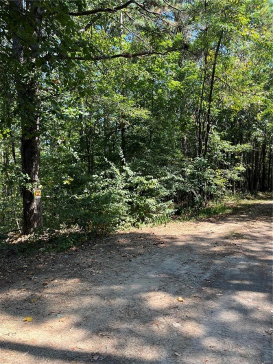 0 Highway E, Lowndes, Missouri 63951, ,Land,For Sale,Highway E,MAR24056194