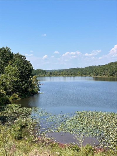 0 Highway E, Lowndes, Missouri 63951, ,Land,For Sale,Highway E,MAR24056194