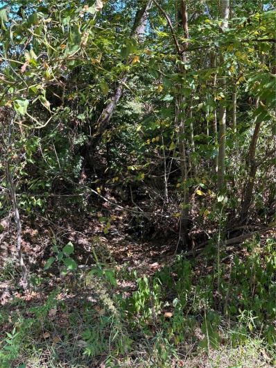 0 State Hwy N, Chaffee, Missouri 63740, ,Land,For Sale,State Hwy N,MAR24056765