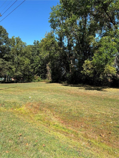 0 State Hwy N, Chaffee, Missouri 63740, ,Land,For Sale,State Hwy N,MAR24056765