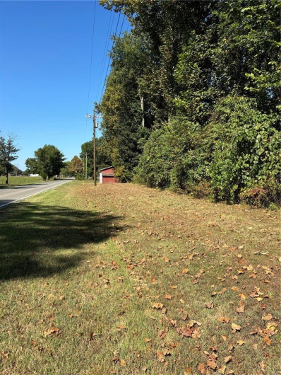 0 State Hwy N, Chaffee, Missouri 63740, ,Land,For Sale,State Hwy N,MAR24056765