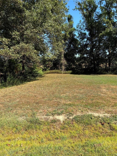 0 State Hwy N, Chaffee, Missouri 63740, ,Land,For Sale,State Hwy N,MAR24056765