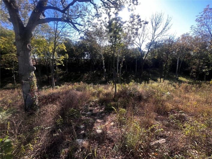 0 Dorothy Drive, Perryville, Missouri 63775, ,Land,For Sale,Dorothy,MAR24057583