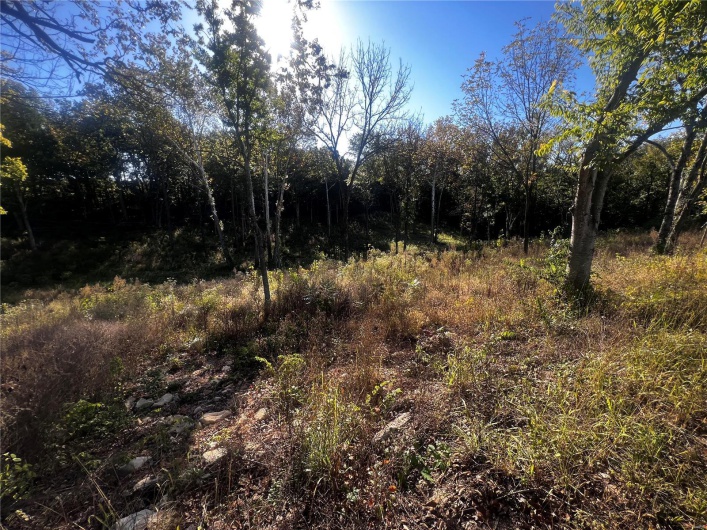 0 Dorothy Drive, Perryville, Missouri 63775, ,Land,For Sale,Dorothy,MAR24057583