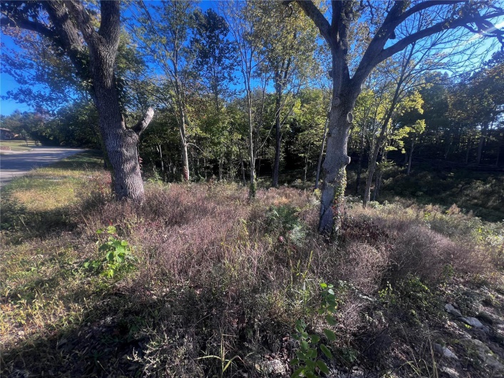 0 Dorothy Drive, Perryville, Missouri 63775, ,Land,For Sale,Dorothy,MAR24057583
