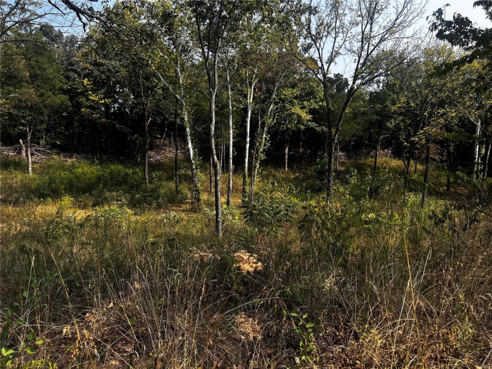 0 Dorothy Drive, Perryville, Missouri 63775, ,Land,For Sale,Dorothy,MAR24057583