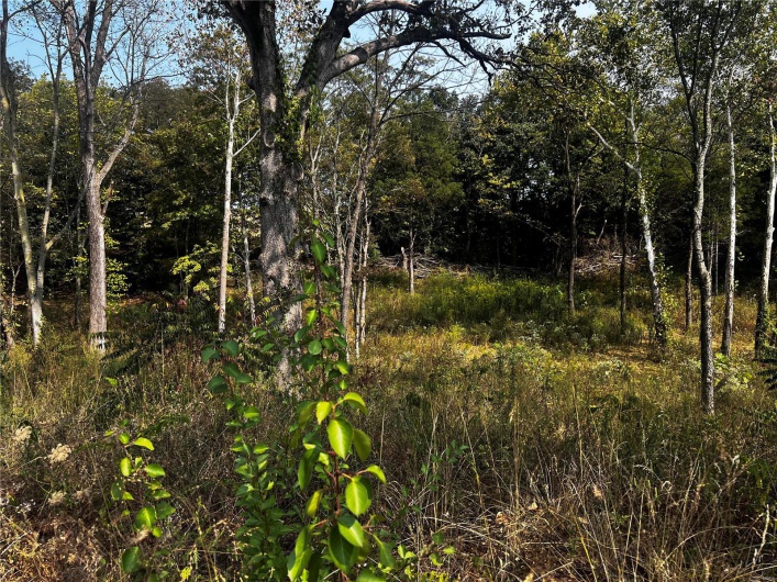 0 Dorothy Drive, Perryville, Missouri 63775, ,Land,For Sale,Dorothy,MAR24057583