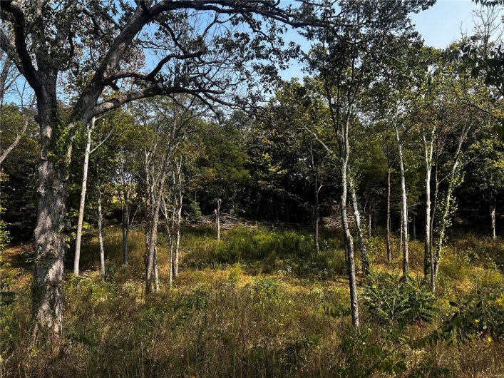 0 Dorothy Drive, Perryville, Missouri 63775, ,Land,For Sale,Dorothy,MAR24057583