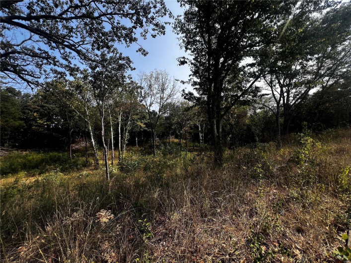 0 Dorothy Drive, Perryville, Missouri 63775, ,Land,For Sale,Dorothy,MAR24057583