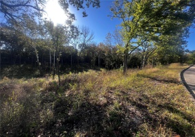 0 Dorothy Drive, Perryville, Missouri 63775, ,Land,For Sale,Dorothy,MAR24057583