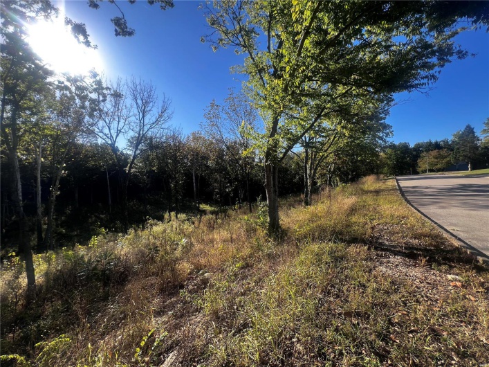 0 Dorothy Drive, Perryville, Missouri 63775, ,Land,For Sale,Dorothy,MAR24057583
