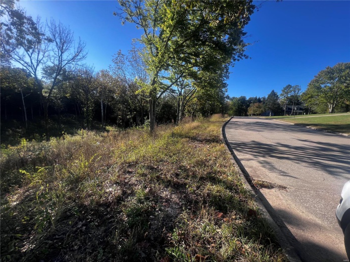 0 Dorothy Drive, Perryville, Missouri 63775, ,Land,For Sale,Dorothy,MAR24057583
