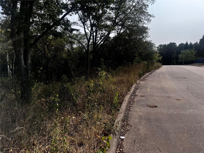 0 Dorothy Drive, Perryville, Missouri 63775, ,Land,For Sale,Dorothy,MAR24057583