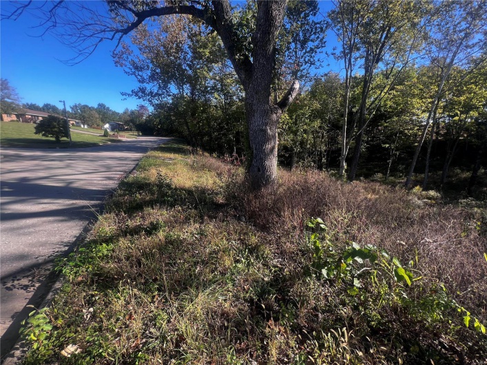 0 Dorothy Drive, Perryville, Missouri 63775, ,Land,For Sale,Dorothy,MAR24057583