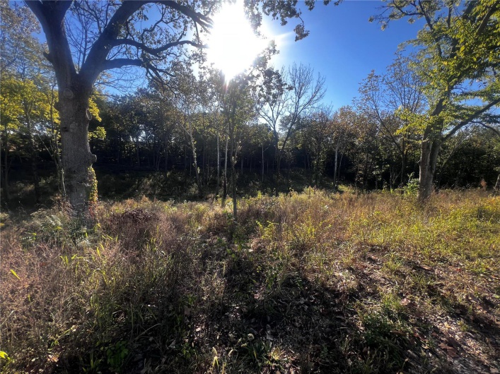 0 Dorothy Drive, Perryville, Missouri 63775, ,Land,For Sale,Dorothy,MAR24057583