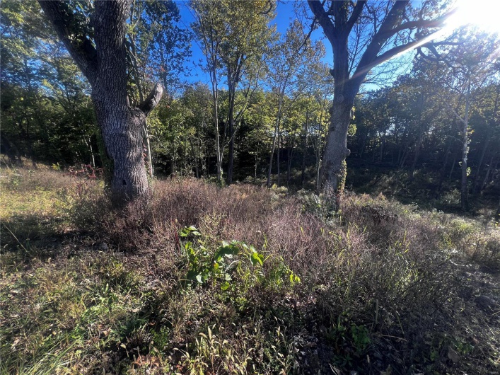 0 Dorothy Drive, Perryville, Missouri 63775, ,Land,For Sale,Dorothy,MAR24057583