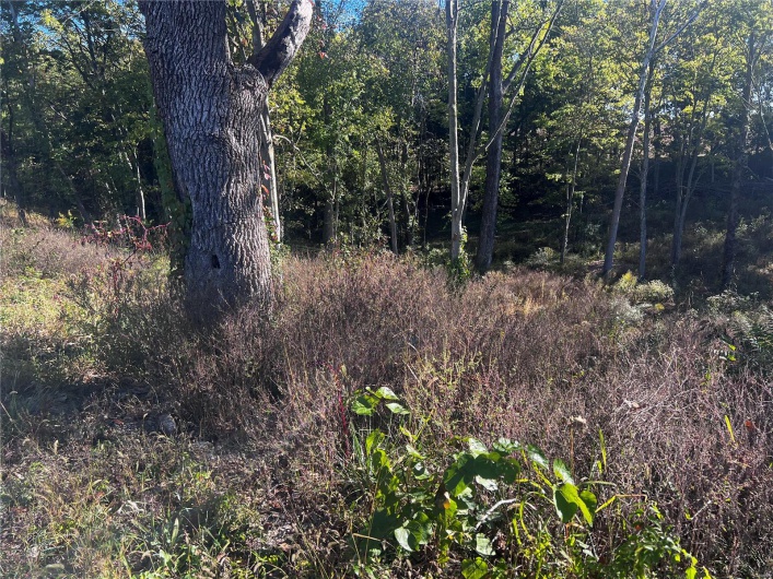 0 Dorothy Drive, Perryville, Missouri 63775, ,Land,For Sale,Dorothy,MAR24057583