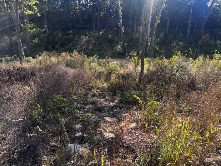 0 Dorothy Drive, Perryville, Missouri 63775, ,Land,For Sale,Dorothy,MAR24057583