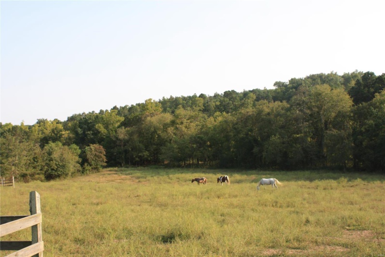2373 Wayne 361, Piedmont, Missouri 63957, 3 Bedrooms Bedrooms, 7 Rooms Rooms,2 BathroomsBathrooms,Farm,For Sale,Wayne 361,MAR24058014
