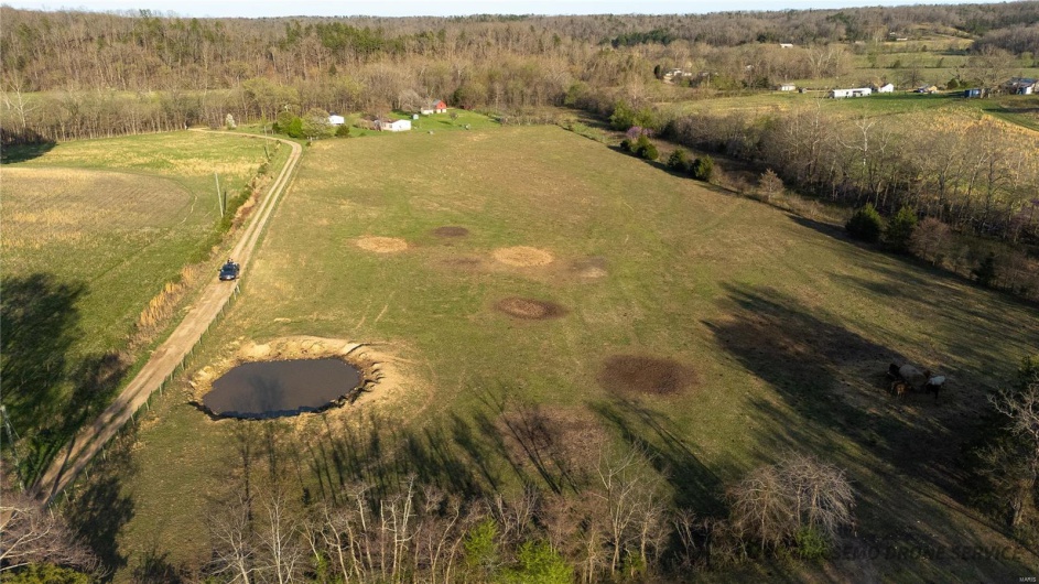 2373 Wayne 361, Piedmont, Missouri 63957, 3 Bedrooms Bedrooms, 7 Rooms Rooms,2 BathroomsBathrooms,Farm,For Sale,Wayne 361,MAR24058014