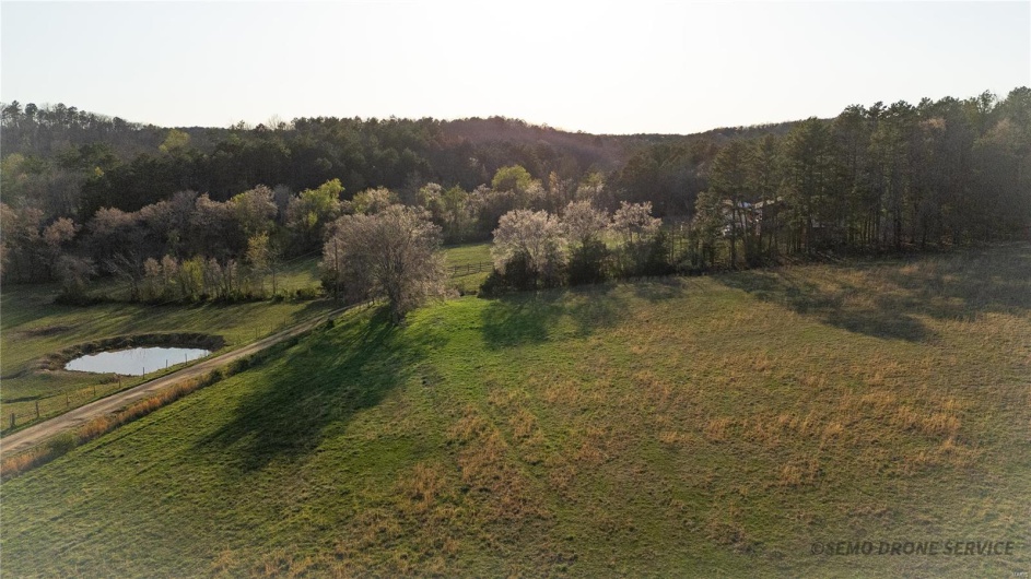 2373 Wayne 361, Piedmont, Missouri 63957, 3 Bedrooms Bedrooms, 7 Rooms Rooms,2 BathroomsBathrooms,Farm,For Sale,Wayne 361,MAR24058014