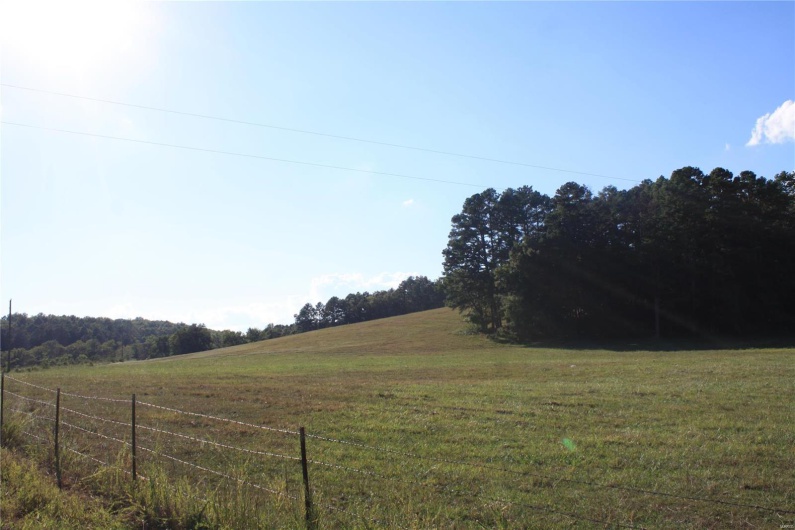 2373 Wayne 361, Piedmont, Missouri 63957, 3 Bedrooms Bedrooms, 7 Rooms Rooms,2 BathroomsBathrooms,Farm,For Sale,Wayne 361,MAR24058014