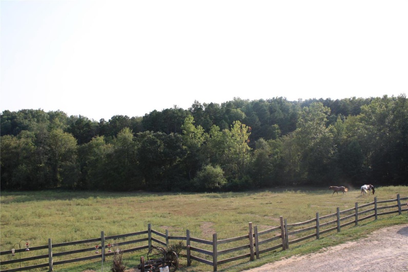 2373 Wayne 361, Piedmont, Missouri 63957, 3 Bedrooms Bedrooms, 7 Rooms Rooms,2 BathroomsBathrooms,Farm,For Sale,Wayne 361,MAR24058014