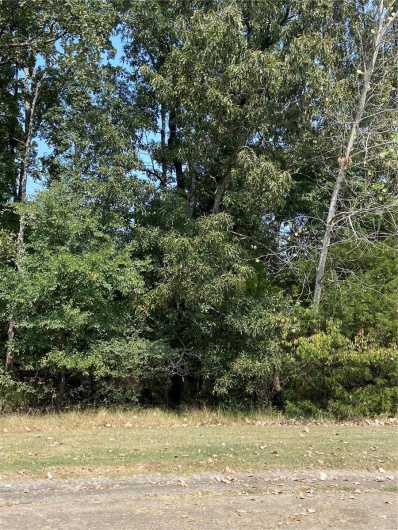 35 Brownwood Trails, Poplar Bluff, Missouri 63901, ,Land,For Sale,Brownwood Trails,MAR24058146
